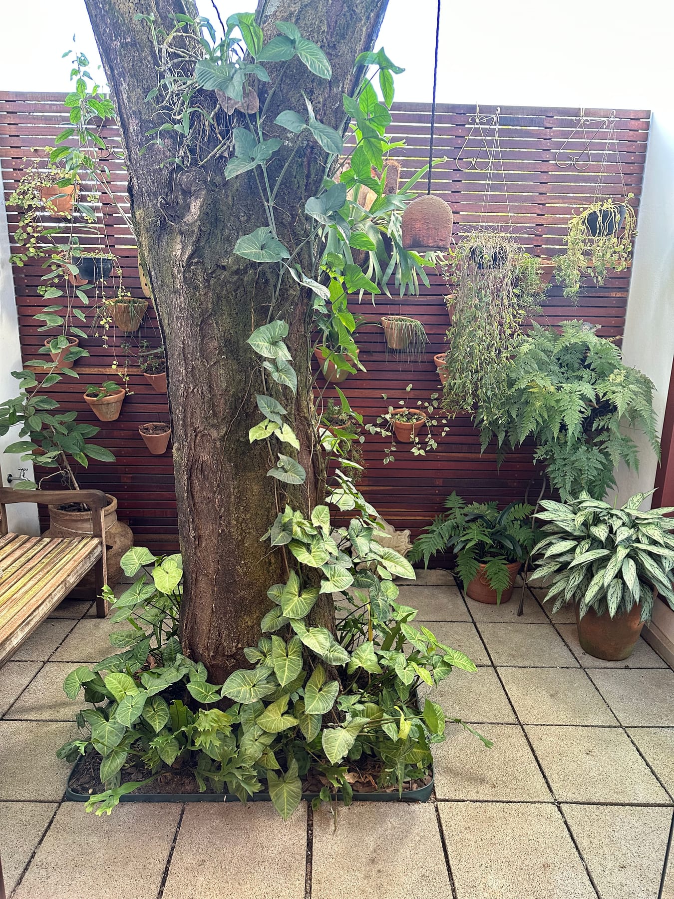 Super-luxo Tiradentes — foto 2